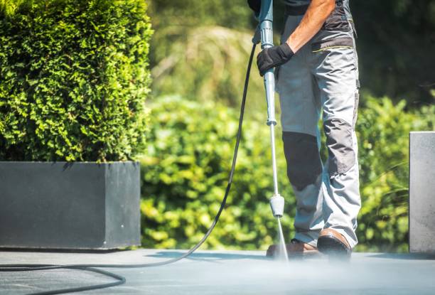 Professional Pressure Washing Services in Lemon Grove, CA